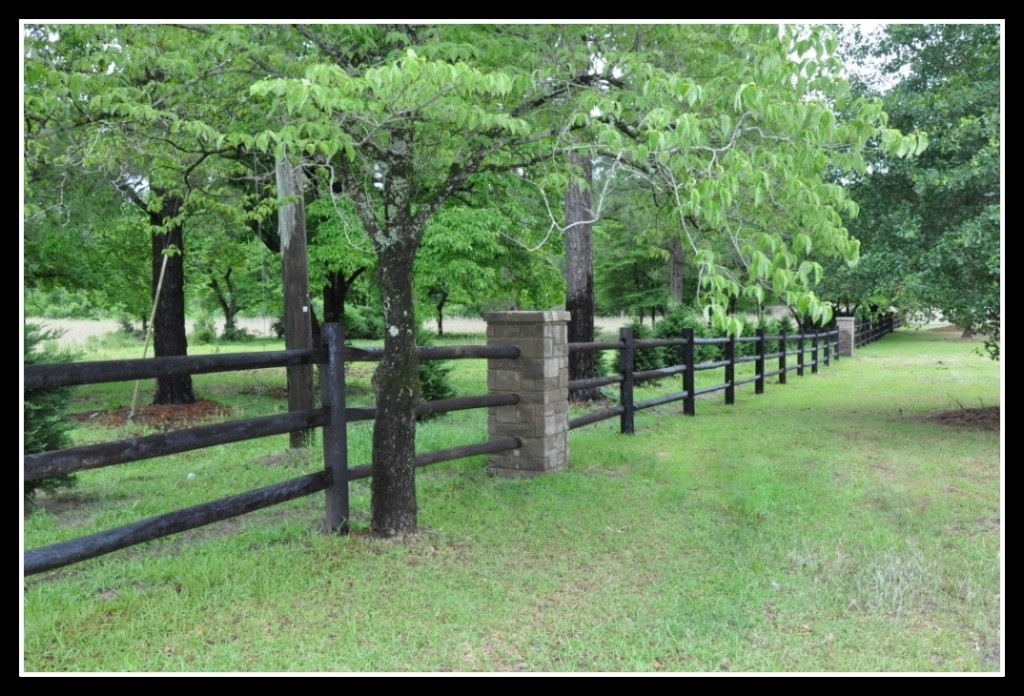 About Swans Creek Swan's Creek Swan's Creek