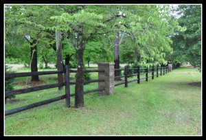 fencepicwebsiteborder